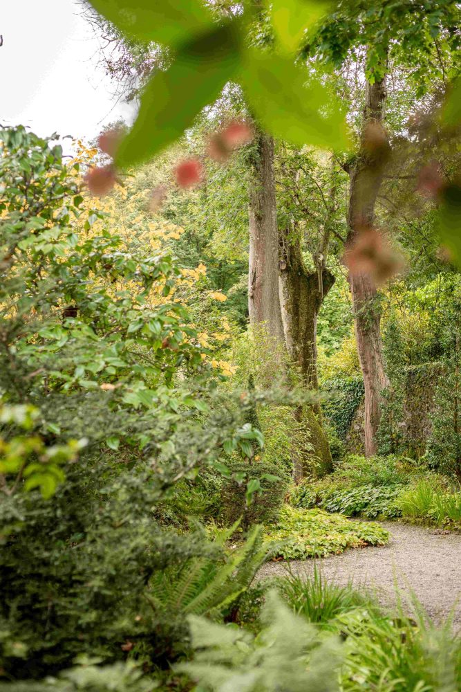 Plas Cadnant trees with apples