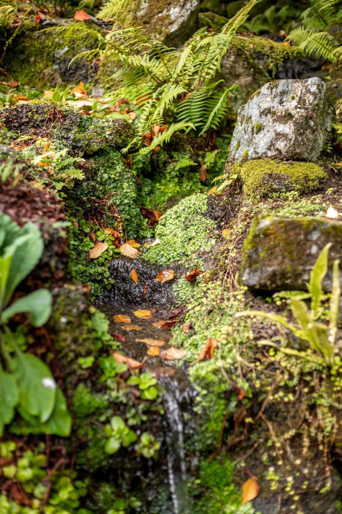 Plas Cadnant waterfall with moss covered rocks