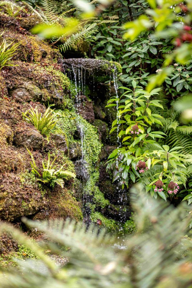 Plas Cadnant waterfall