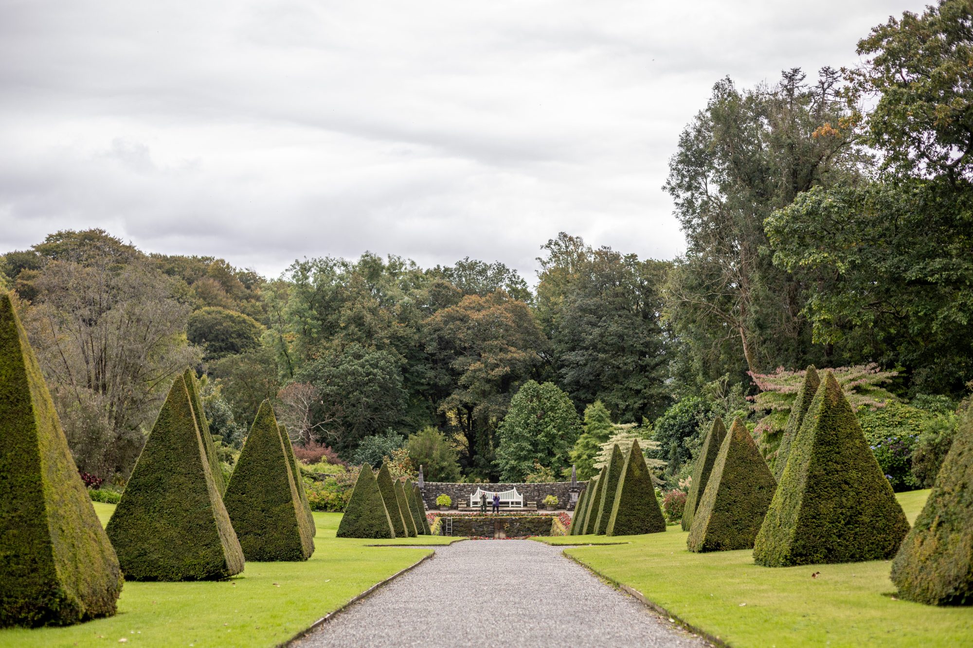 Triangular hedges with a central stone path and green lawns to both sides